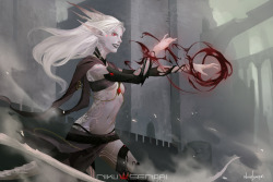 nikusenpai: Character commission: Jundith - Draconic Elf Sorceress