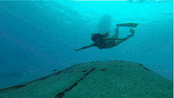 fitnessua:  Fit life: Diving 