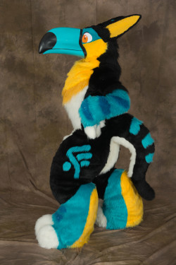 I love this gryphon <3