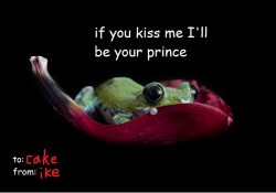 HAPPY VALENTINE’S DAY, DEAREST CAKEY!!!