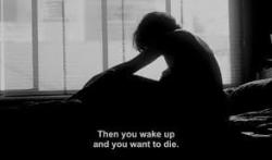 The Dreams We Share