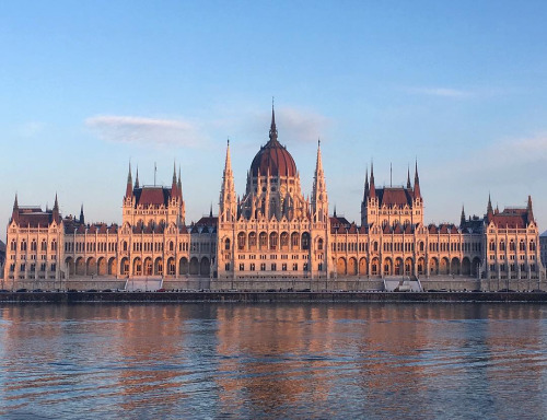 infected:Budapest,  Hungary, photo by  Sam Ellis  