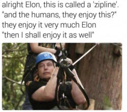 laughoutloud-club:  Elon Musk having fun