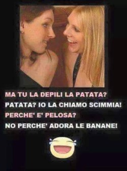 semplice-menteio:  😂😂😂😂   ahahahahahahah