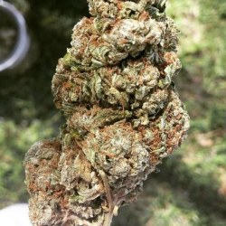 supahighposts:  Green Crack