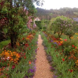 indigodreams:  Monet’s garden at Giverny