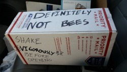 memeguy-com:Well at least its not bees