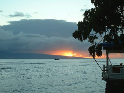 Hawaii Sunsets Mauai by vidiotmike on Flickr.