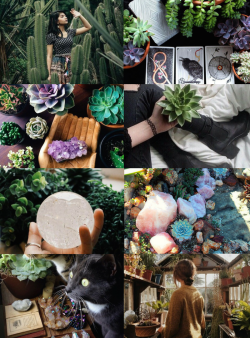 mypieceofculture: Witch Aesthetics // Cactus-Succulent Witch