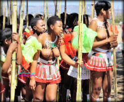   A participant of the Reed Dance Ceremony in Swaziland on 2014,
