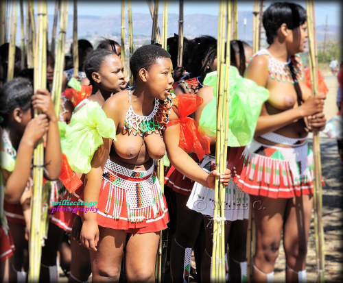   A participant of the Reed Dance Ceremony in Swaziland on 2014, by Willie C.