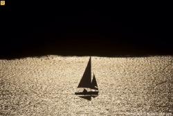 nationalpostphotos:  Sailing into sunset — A sailing boat makes