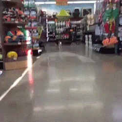 humoristics:HE’S SO HAPPY