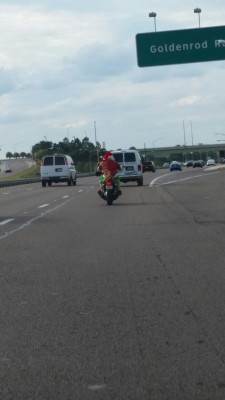 thepattywagon:  I saw the Grinch on the highway today on his