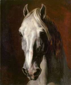 canforasoap:Théodore Géricault (1791-1824),  Tête de cheval