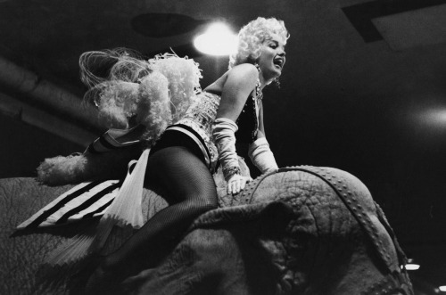 infinitemarilynmonroe:  Marilyn Monroe riding an elephant at