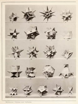 transoptic:  from Max Brückner’s collection of “Polyhedral