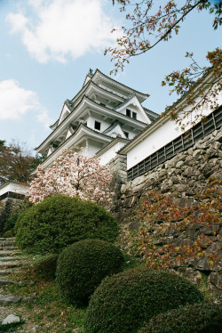 r2–d2: Gujo Hachiman Castle