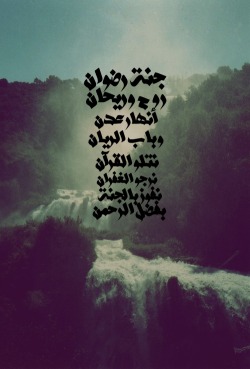 Bashayr