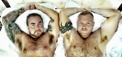 bearpitpig:  #HairyPits #Armpits #Bear #Pits #MuscleBear #Hairy