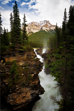 expressions-of-nature:  Athabasca Falls, Canada by Tucapel on