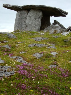 birdsofrhiannon:  Six thousand year old megalithic tomb, one