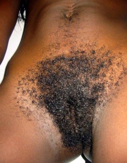 ethnicexotichairy:  Ethnic &amp; Exotic Hairy GirlsEthnic Galleries - Colored Nudes - Brown Bodies - Black Beaver - African Babes  Don&rsquo;t knw bout yall niggas but I&rsquo;m a bushman