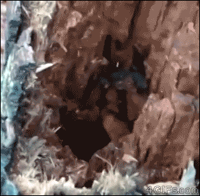 haha-woww:  lolfactory:  “Oh hi there.”☆ funny tumblr ☆