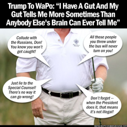saywhat-politics:  Trump To WaPo: “I Have A Gut And My Gut