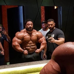 Roelly Winklaar - His neck is trying to eat that necklace, I