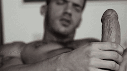 masterbrandonshouseofslaves:  Follow Master Brandon  View the