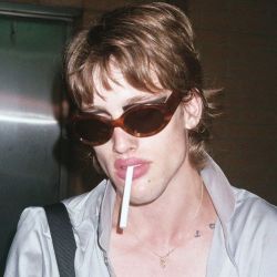 imyourcherrybomb:    sylvester