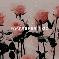 gentlemanlyrics: sweet creature // harry styles