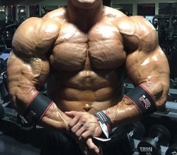 muscle by jake