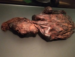 sarahthewonderfilled:  For sixpenceee! The bog bodies of Ireland!