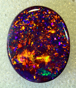 raspberry-yogurt:  The Black Opal is the rarest and the priciest