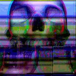 S h O t s