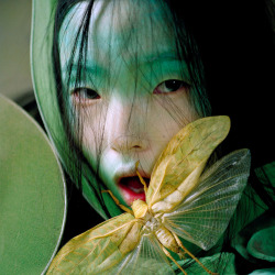 parasoli:  xiao wen ju by tim walker.   www.xanibby.tumblr.com🎀