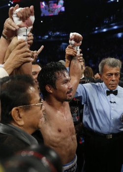 laporratesaluda:  Las mejores imágenes en el Boxeo 2014 Clicks