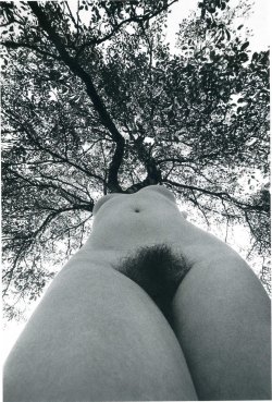 one-photo-day: Lucien Clergue