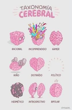Taxonomía cerebral | via Facebook en We Heart It. http://weheartit.com/entry/68872942