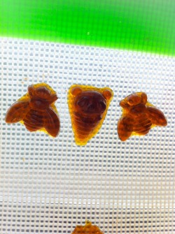 the-stoner-sage:  Bees and panda ice cream shatter dabs. 🐝💛🐼🍦
