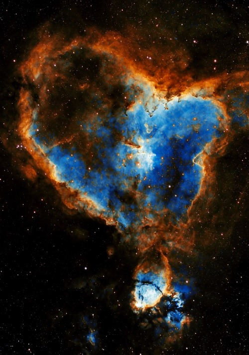 spacewonder19:  IC1805, Heart Nebula