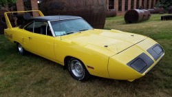 v-eight-lover:  Winged Wednesday; ‘70 Superbird from 2018