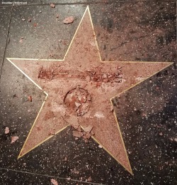 shantell:  nbcnightlynews:  NEW: Donald Trump’s star on the