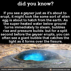 did-you-kno:  If you see a geyser just as it’s about to  erupt,