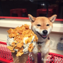 happygoriley:  I scream for ice cream!🍦- HappyGoRiley