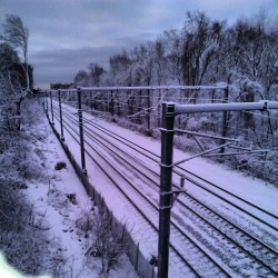 romanswrath:  #Boston #TrainTracks