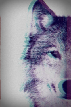 BLWX