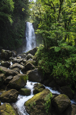 land-city:  Waterfall in Dominica by Kyle Cox | 500px Dominica